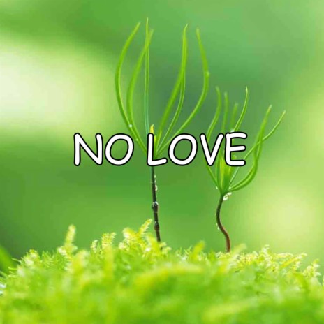 No Love | Boomplay Music