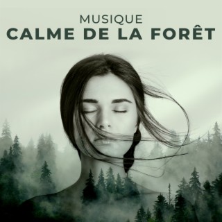 Musique calme de la forêt: Sons naturels pour le bien-être et la tranquillité d'esprit