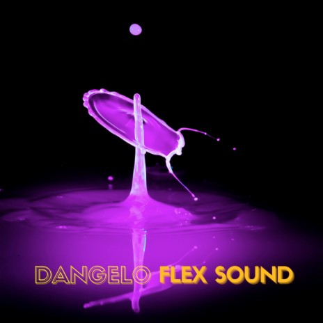 Flex Sound | Boomplay Music