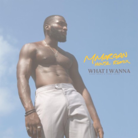 What I Wanna (MMorgan House Remix) ft. MMorgan & Tony Jaiye