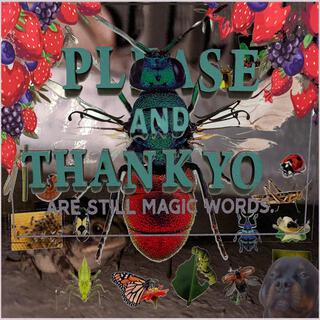 PLSE AND THANKYO: ARE STILL MAGIC WORDS.