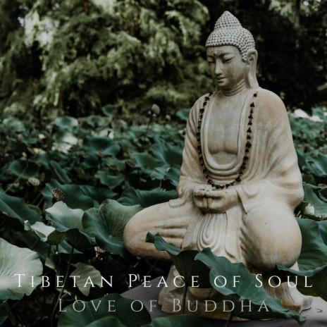 Buddhist Meditation: Samadhi ft. Meditation Music