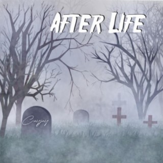 After Life