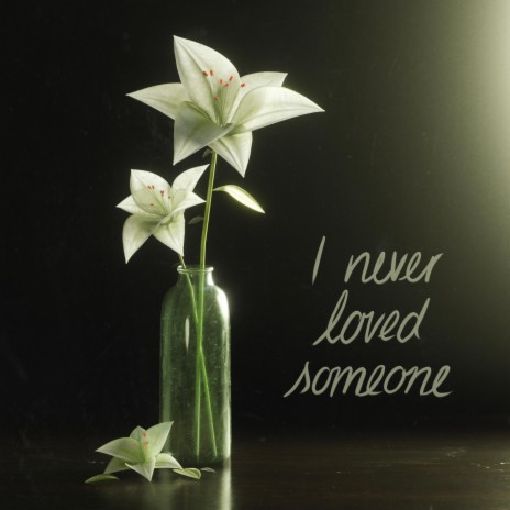 I never loved someone