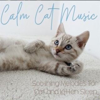 Calm Cat Music: Soothing Melodies for Cat and Kitten Sleep