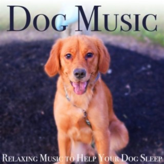 Dog Music: Relaxing Music to Help Your Dog Sleep