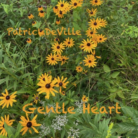 Gentle Heart | Boomplay Music
