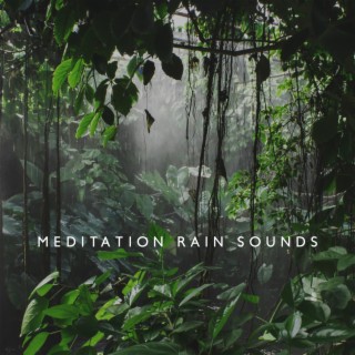 Meditation Rain Sounds - Tropical Forest, Relaxing Noise for Better Sleep, to Relief Your Daily Stress, Study, Yoga