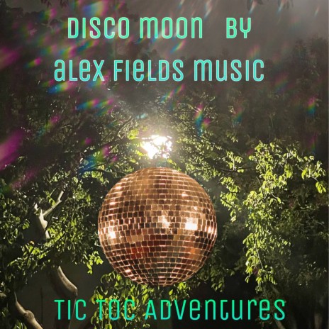 Disco Moon | Boomplay Music