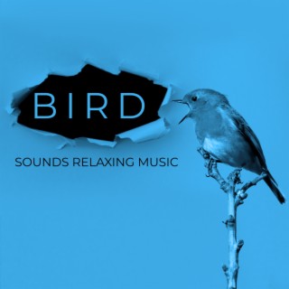 Bird Sounds Relaxing Music. For Kids, for Sleeping. Positive Sounds in the Background