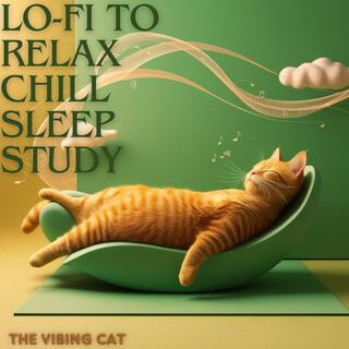 Lo-Fi to Relax, Chill, Sleep, Study