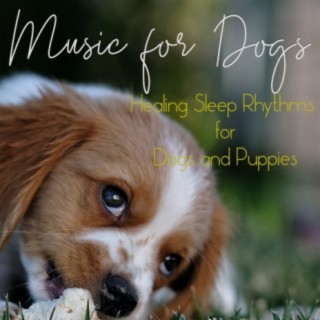 Music for Dogs: Healing Sleep Rhythms for Dogs and Puppies