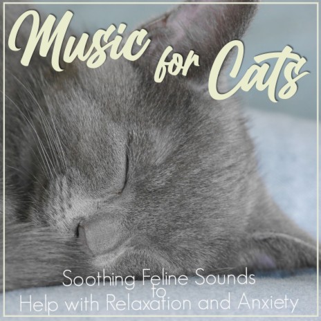 Just for Cats ft. Cat Music Dreams & Cat Music Therapy