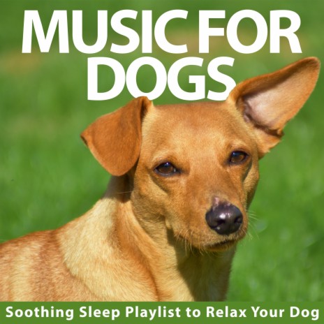 Deep Breaths ft. Dog Music & Relaxmydog