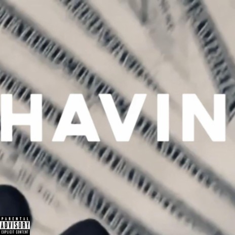 Havin | Boomplay Music