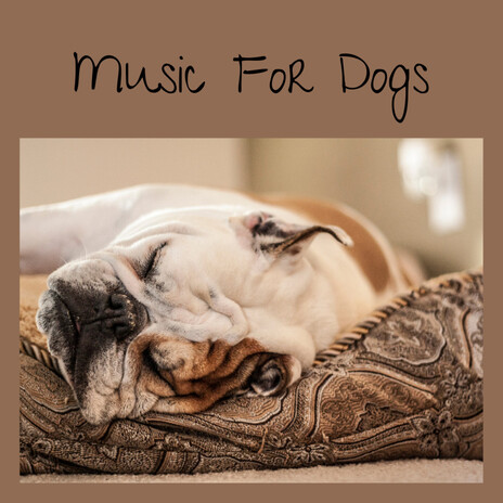 Daytime Nap ft. Music For Dogs Peace, Relaxing Puppy Music & Calm Pets Music Academy | Boomplay Music