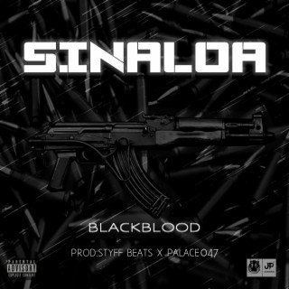 sinaloa (sinaloa) ft. tyfferd lyrics | Boomplay Music