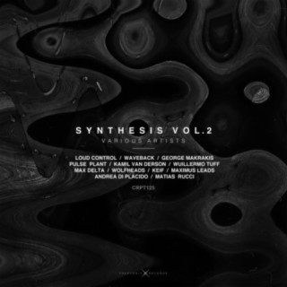 SYNTHESIS, Vol. 2