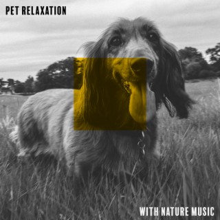 Pet Relaxation with Nature Music - Healing Sounds. Delicate Sounds of New Age for Our Four-Legged Friends