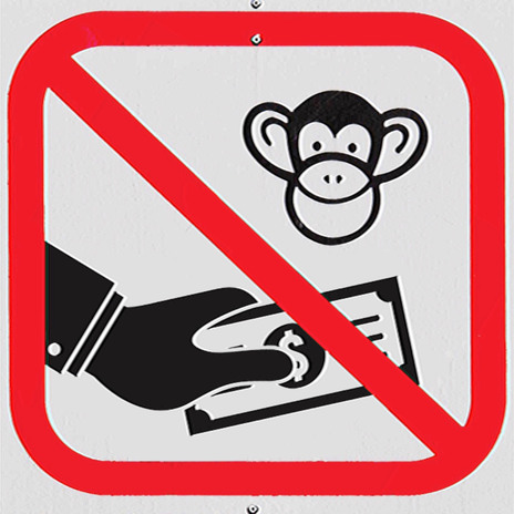 DO NOT FEED THE MONKEYS | Boomplay Music