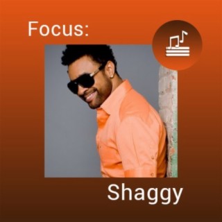 Focus: Shaggy