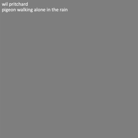 pigeon walking alone in the rain | Boomplay Music