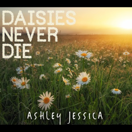 Daisies Never Die | Boomplay Music