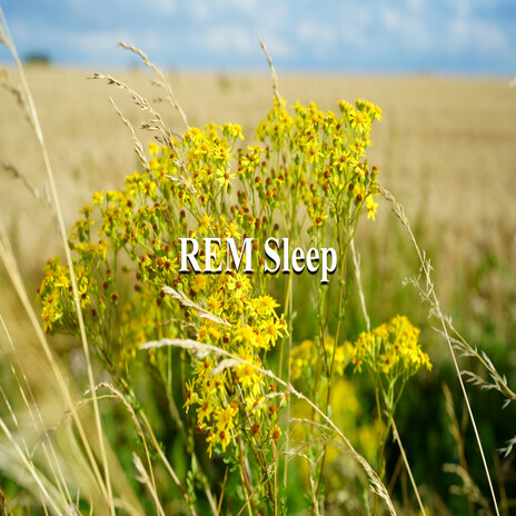 REM Sleep | Boomplay Music