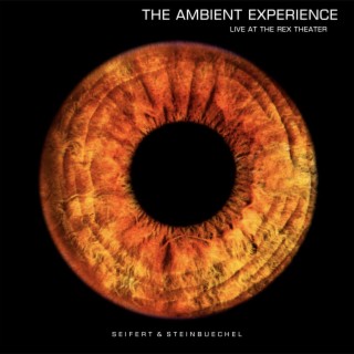 THE AMBIENT EXPERIENCE