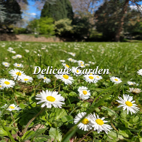 Delicate Garden