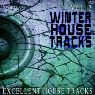 Winter House S, Vol. 2 - Excellent House