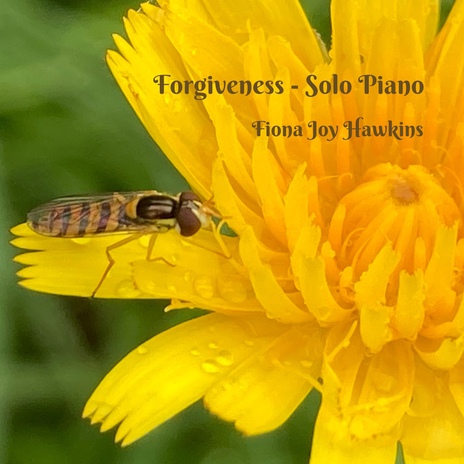 Forgiveness – Solo Piano | Boomplay Music