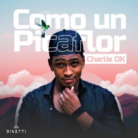 Como Un Picaflor | Boomplay Music