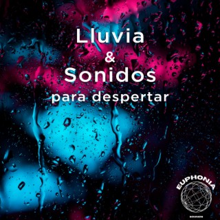 Lluvia Y Sonidos Para Despertar