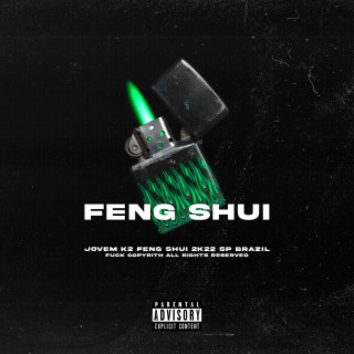 Feng Shui lyrics | Boomplay Music