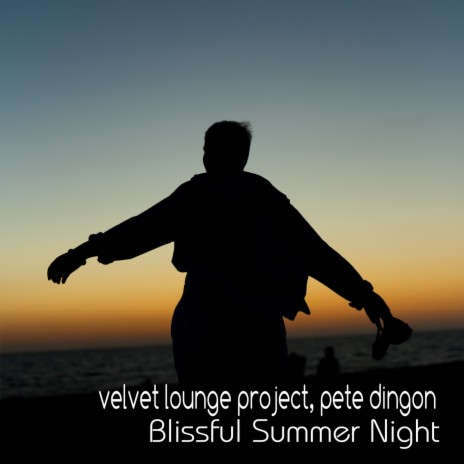 Blissful Summer Night ft. Pete Dingon | Boomplay Music