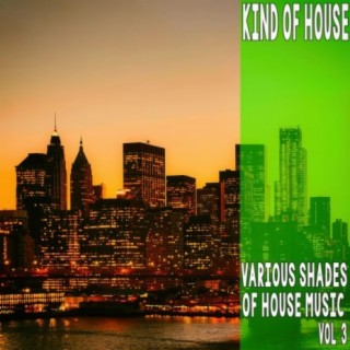 Kind of House, Vol. 3 - Various Shades of House Music