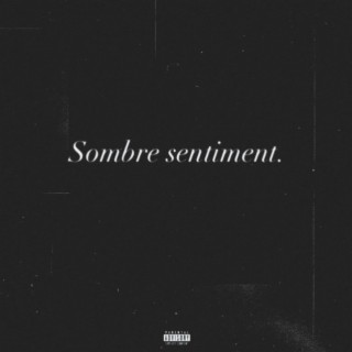 Sombre Sentiment lyrics | Boomplay Music