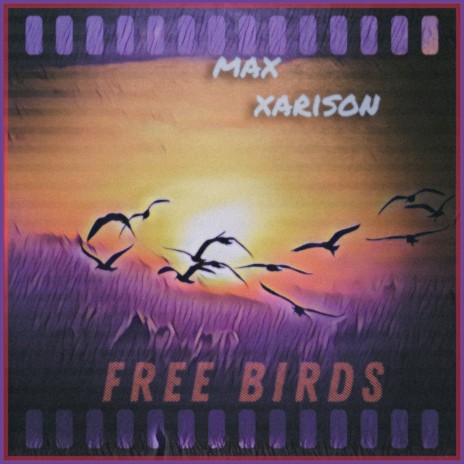 Free Birds | Boomplay Music