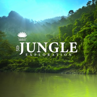 5D Jungle Exploration: Exotic Nature, Soothing Meditation Journey