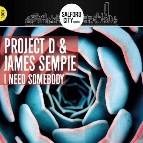 I Need Somebody (Original Mix) ft. James Sempie | Boomplay Music