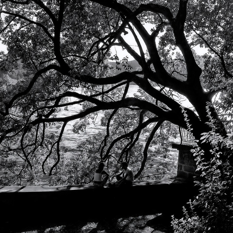 under the tree shadow