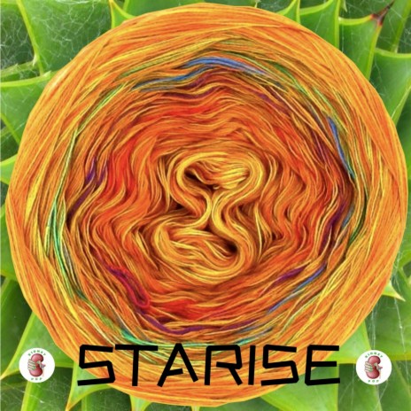 Starise | Boomplay Music