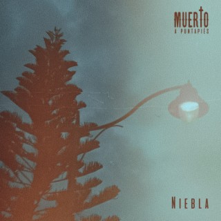 Niebla