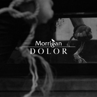 Dolor lyrics | Boomplay Music