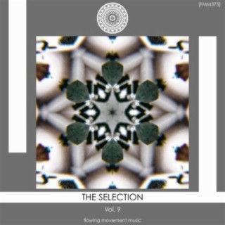 The Selection, Vol. 9