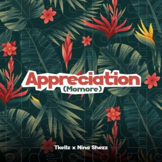 Appreciation (Momore) ft. Nina Shezz lyrics | Boomplay Music