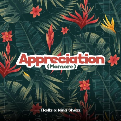 Appreciation (Momore) ft. Nina Shezz | Boomplay Music