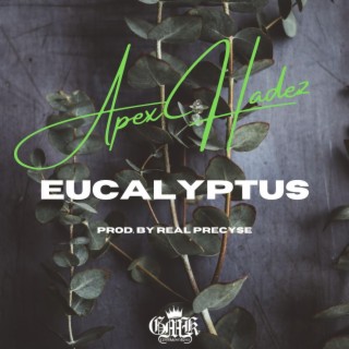 Eucalyptus (Radio Edit) lyrics | Boomplay Music