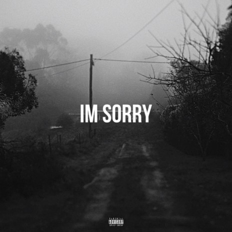 IM SORRY | Boomplay Music